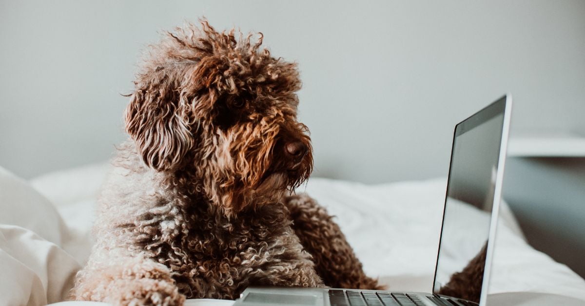 Content Article Hero 19